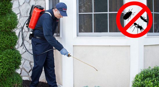 Safranbolu Kemirgen İlaçlama böcek ilaçlama ve haşere kontrolü — ilaclama-tr.com